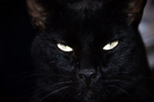 Superstition & Old wive’s Tales