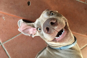 The path to happiness – Some quick & easy steps