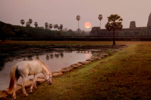2014 Supermoons & the Year of The Horse