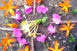 Lammas the festival of the wheat harvest