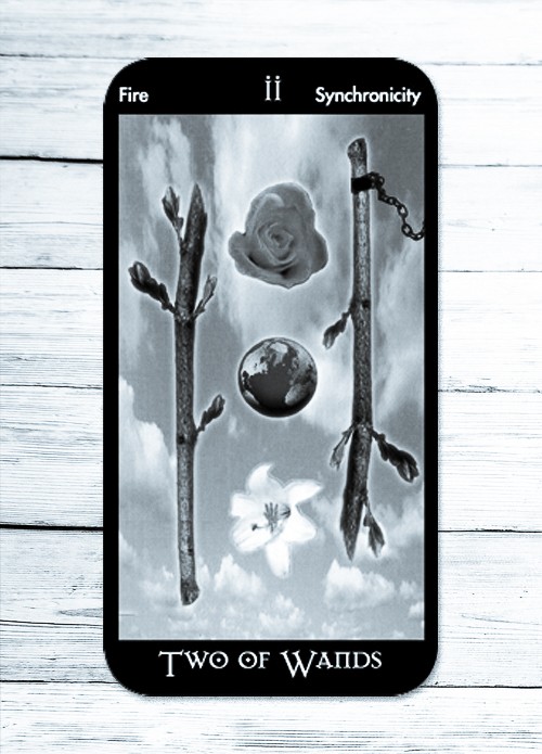 tarot two of wands