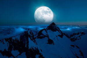 Maximize Your New Moon with Aquarius Tarot Insights